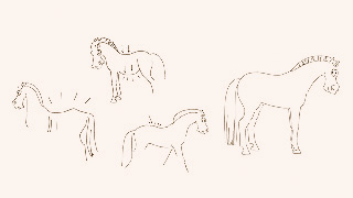 Katja Saddeling System