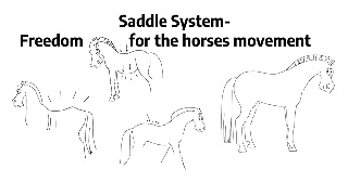 Katja Saddeling System