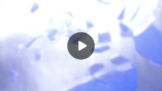 Einblick Balance-System